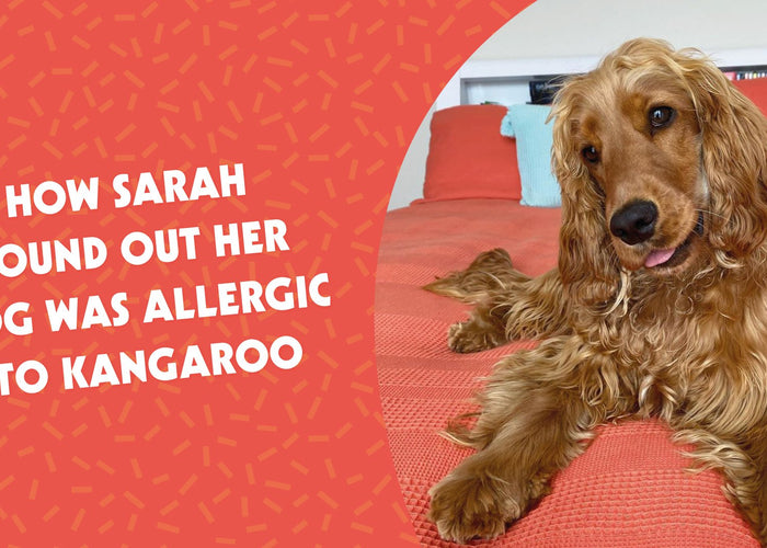 How Sarah found out her dog was allergic to Kangaroo