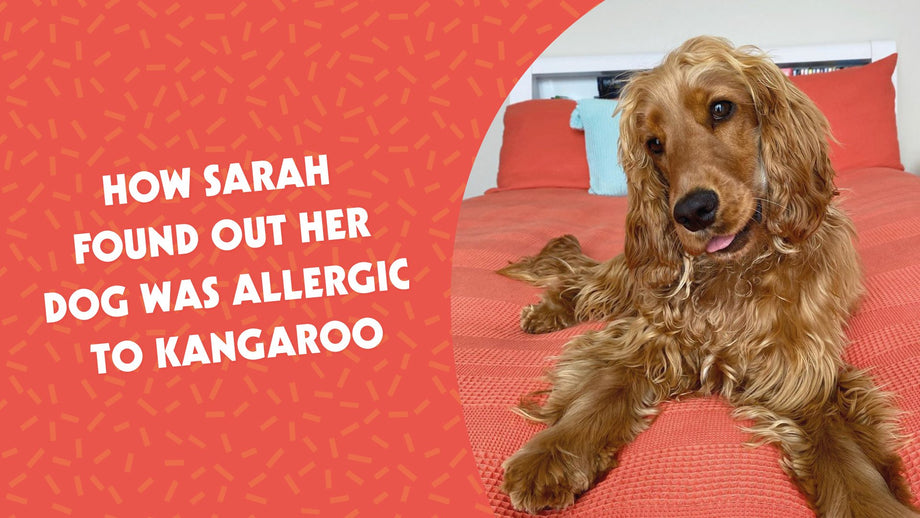 How Sarah found out her dog was allergic to Kangaroo