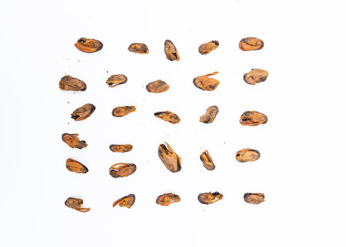 Are Green Lipped Mussels Good for Dogs?