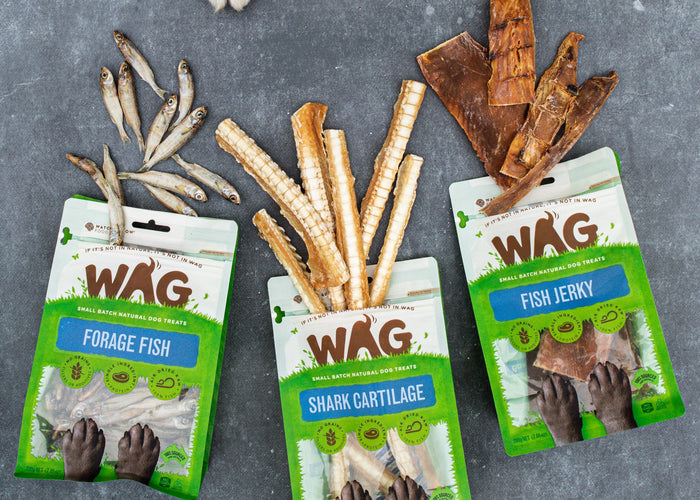 How To Get More Fish In Your Dog's Diet