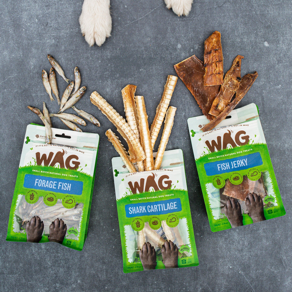 How To Get More Fish In Your Dog's Diet