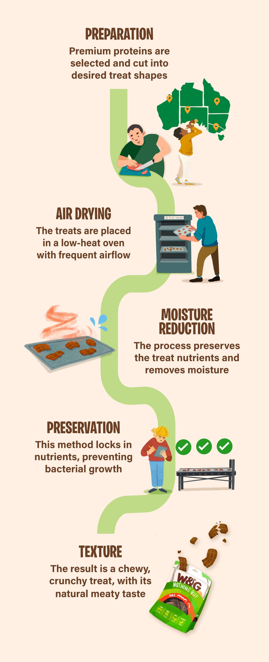 Infographic illustrating the air-dried dog treat process: starting with preparation of premium proteins, followed by low-heat air drying, moisture reduction to preserve nutrients, natural preservation to prevent bacteria, and ending with a chewy, meaty-textured treat.
