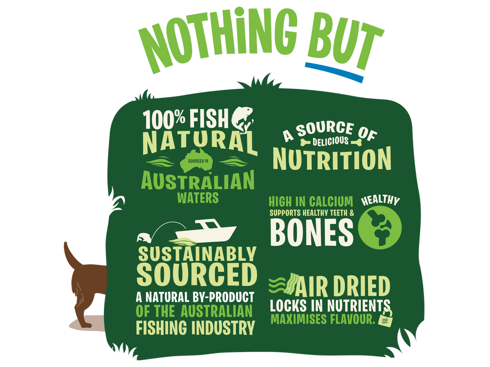 Benefits of fish protein for dogs